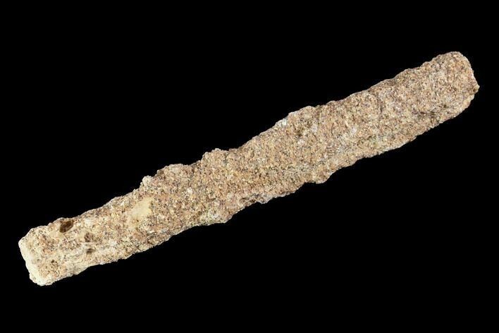 Fulgurite - Petrified Lightning #90355